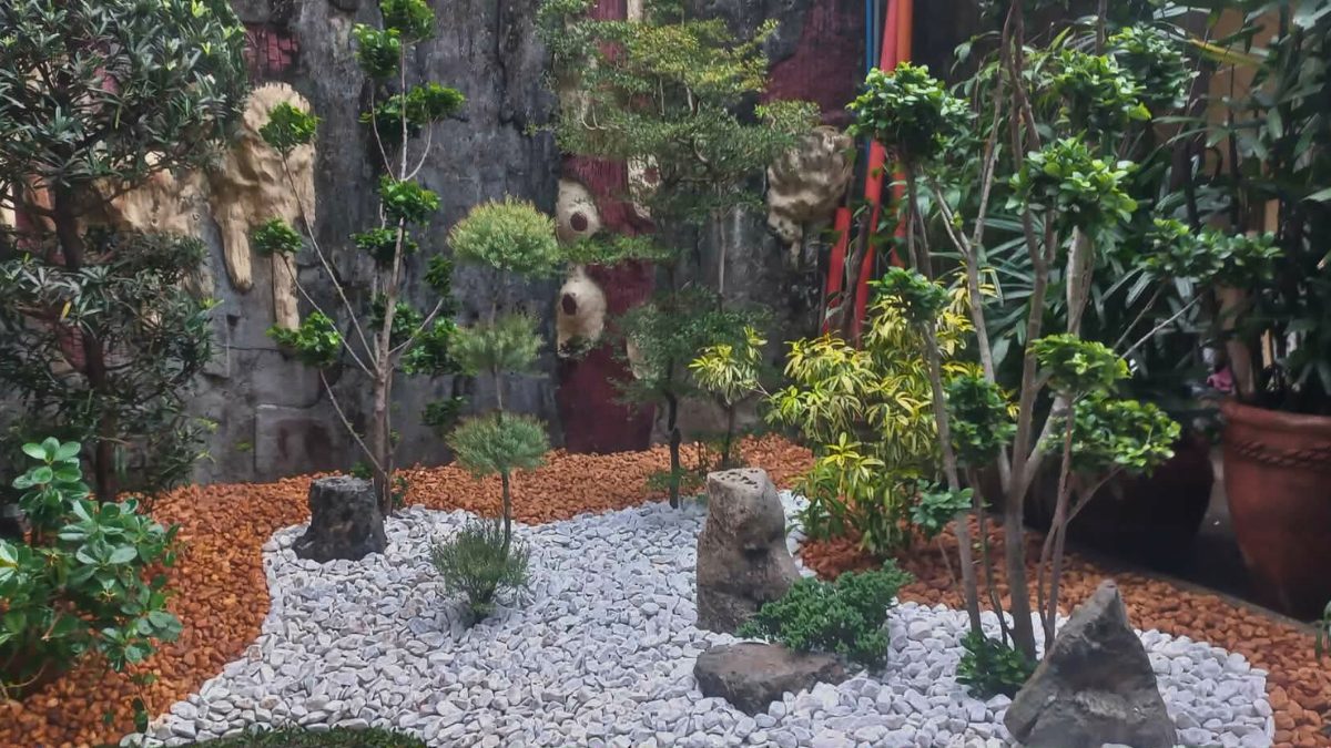 Zen garden wide angle with bonsai trees