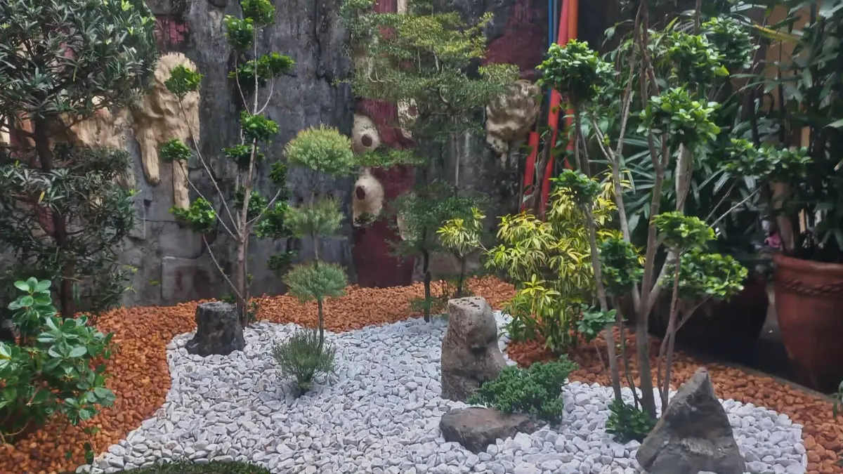 Zen garden wide angle with bonsai trees