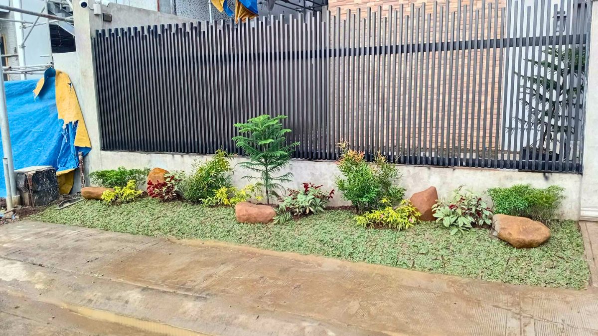 Front fence garden bed with ornamental plants