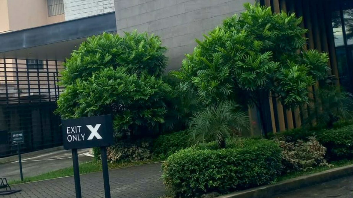 Commercial exterior with topiary trees