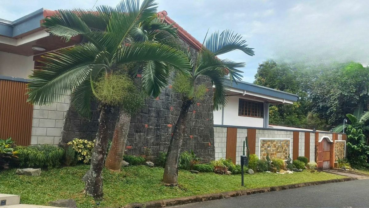 Subdivision landscaping with palms