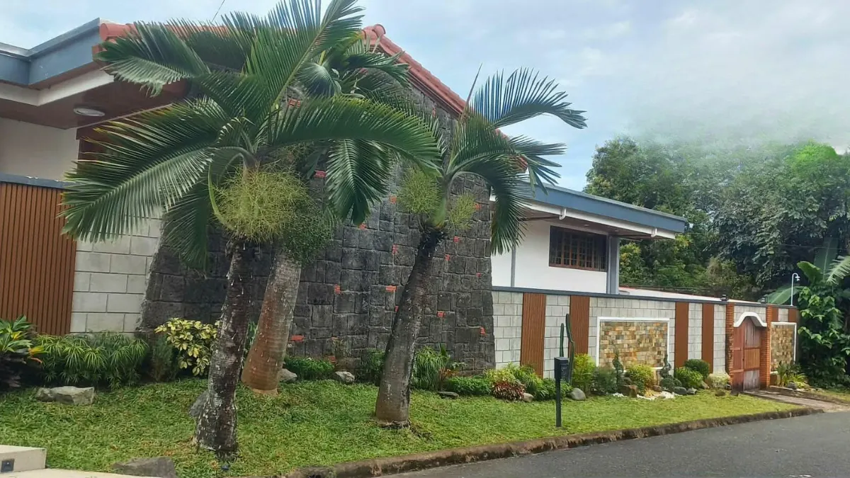 Subdivision front yard landscaping